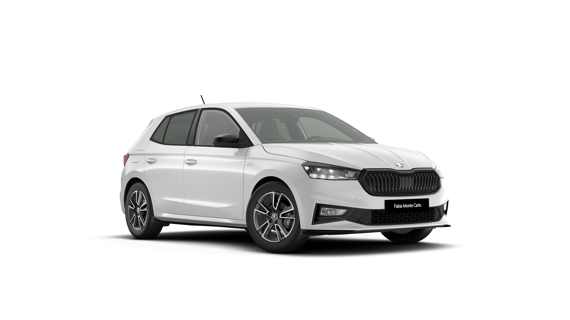 Model-slika Fabia Monte Carlo