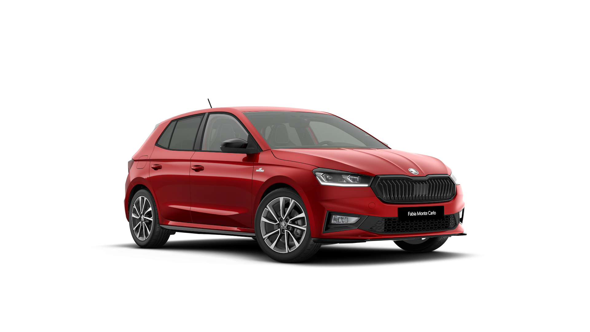 Model-Image Fabia Monte Carlo