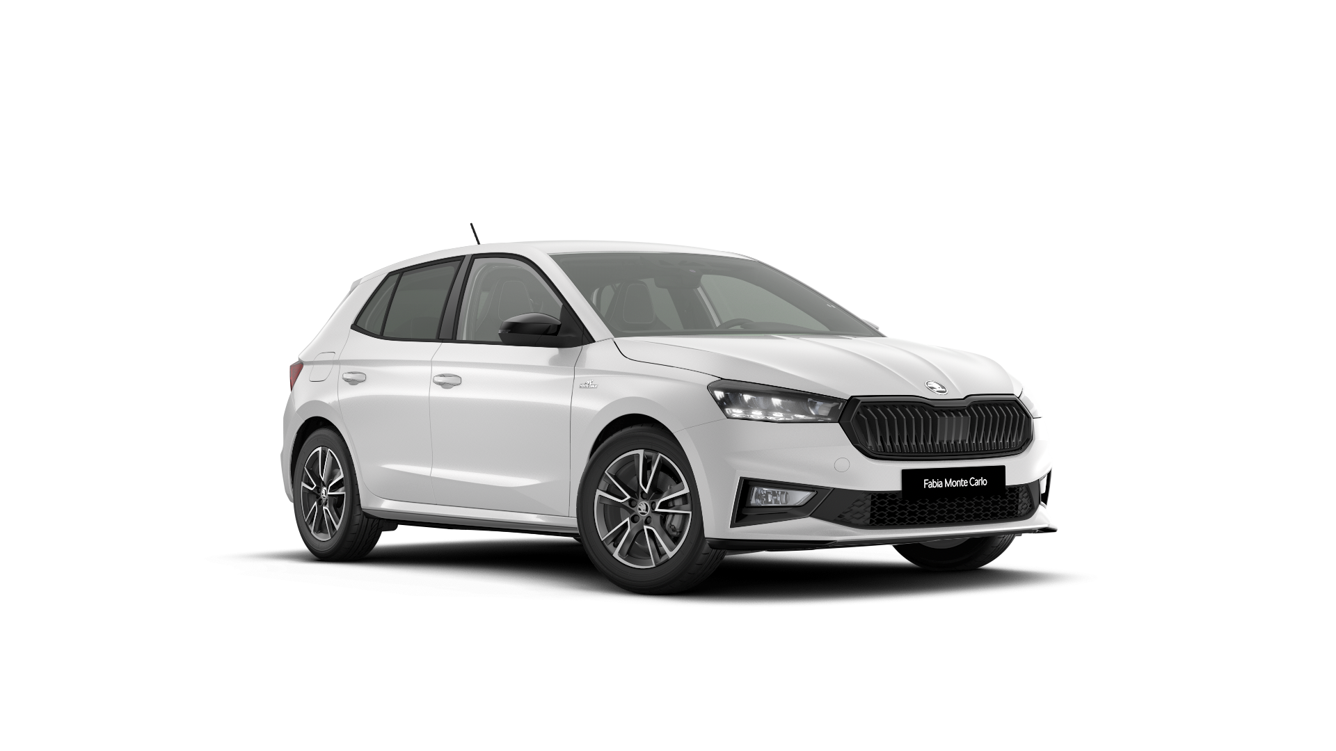 Model-Image Fabia Monte Carlo