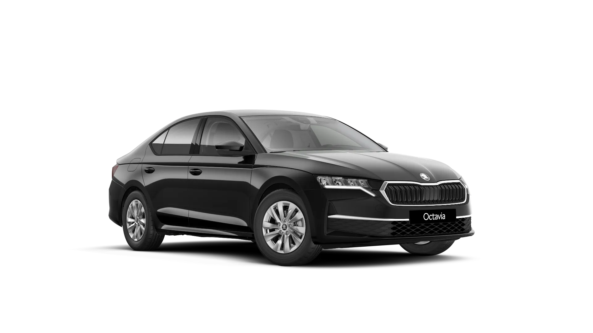 Modelo-Imagem Selection