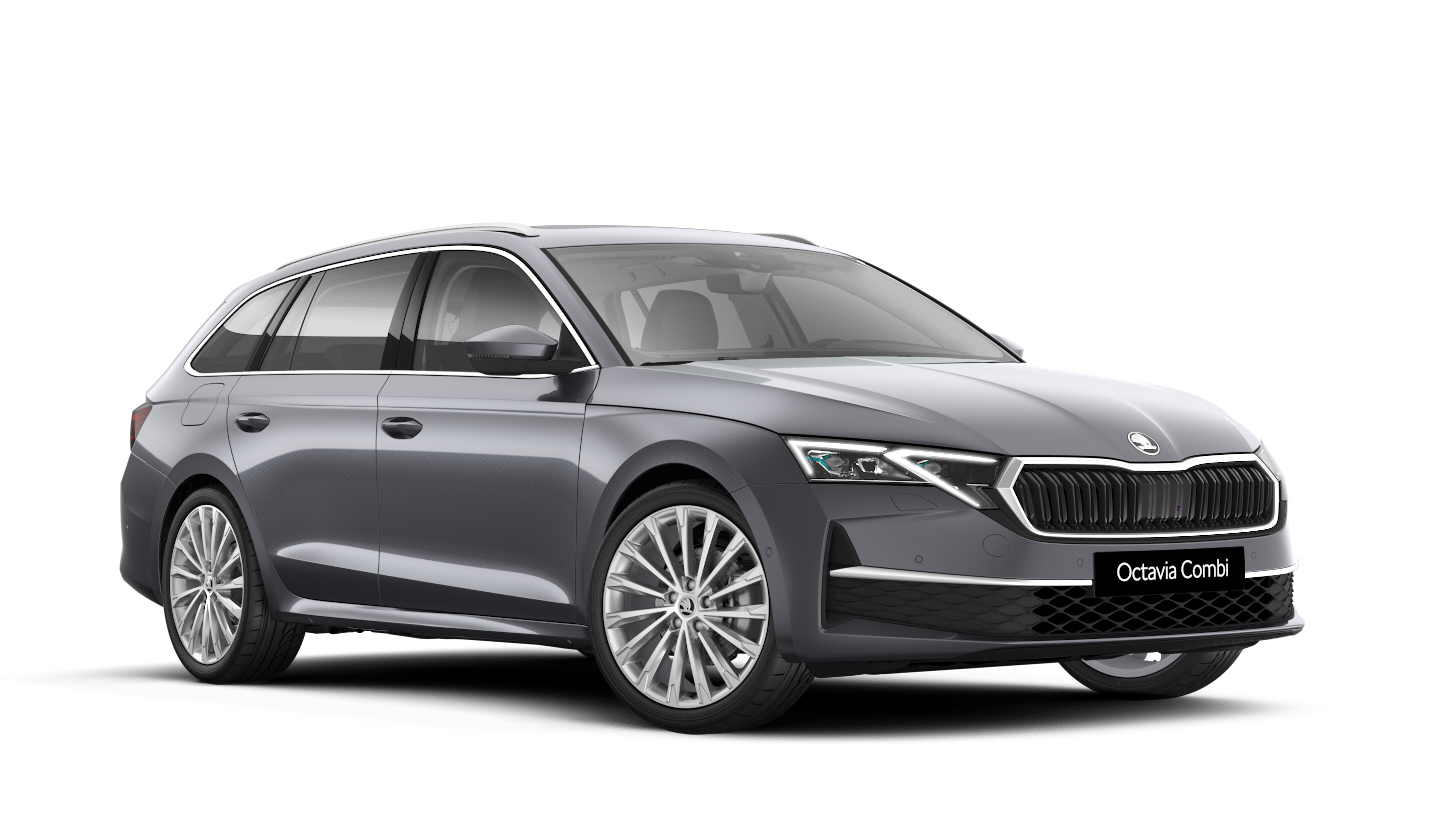Model-Image Octavia Combi