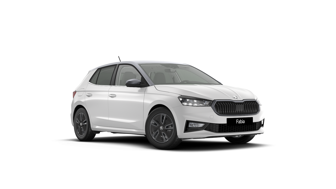 Model-Image Fabia