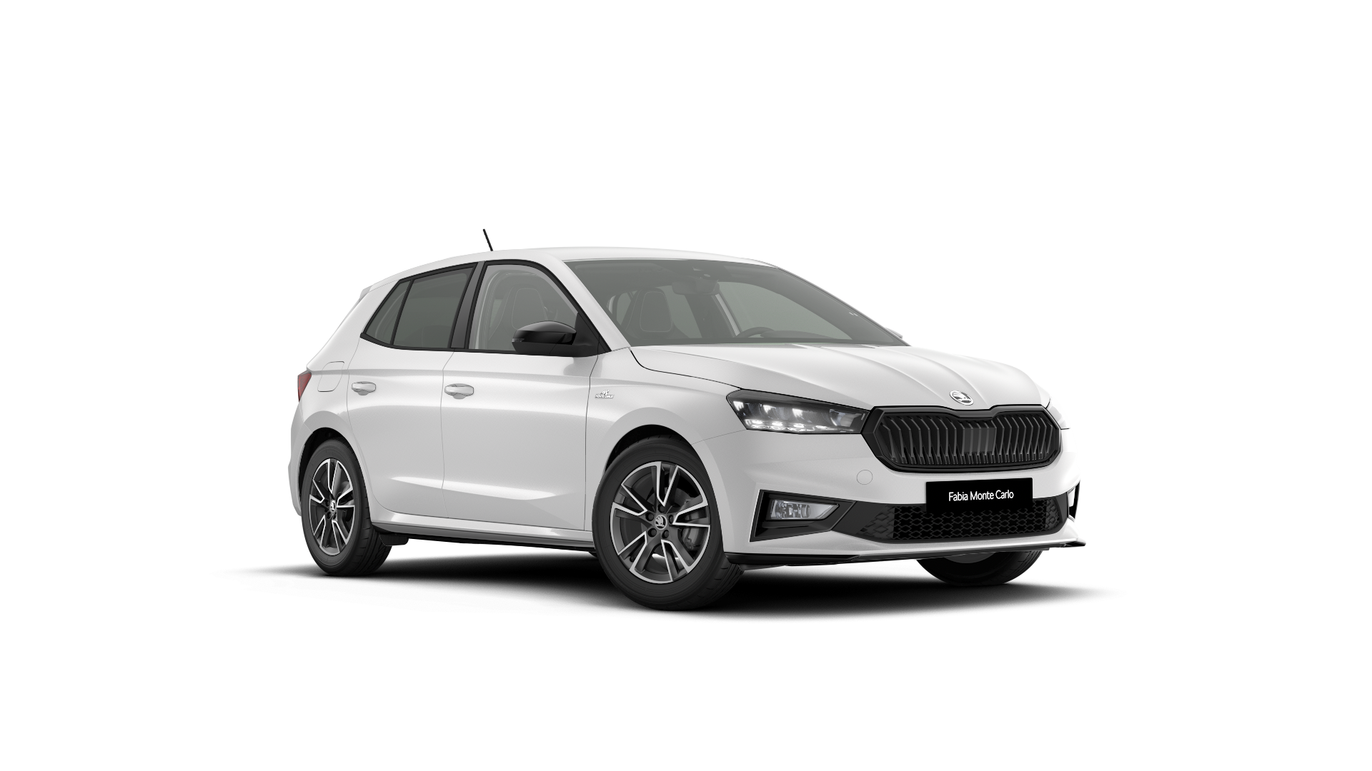 Model-slika Fabia Monte Carlo