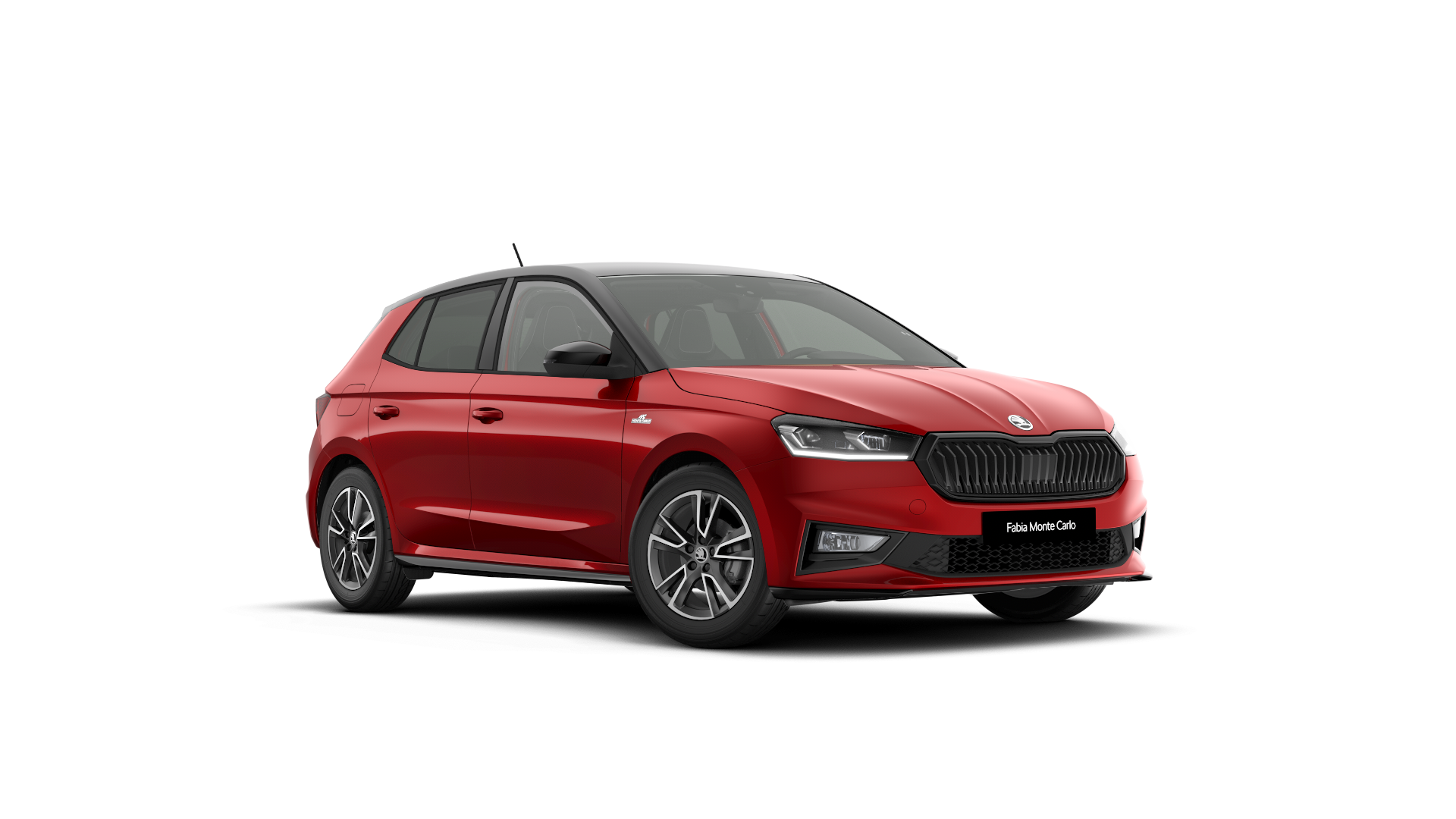 Model-Image Fabia Monte Carlo