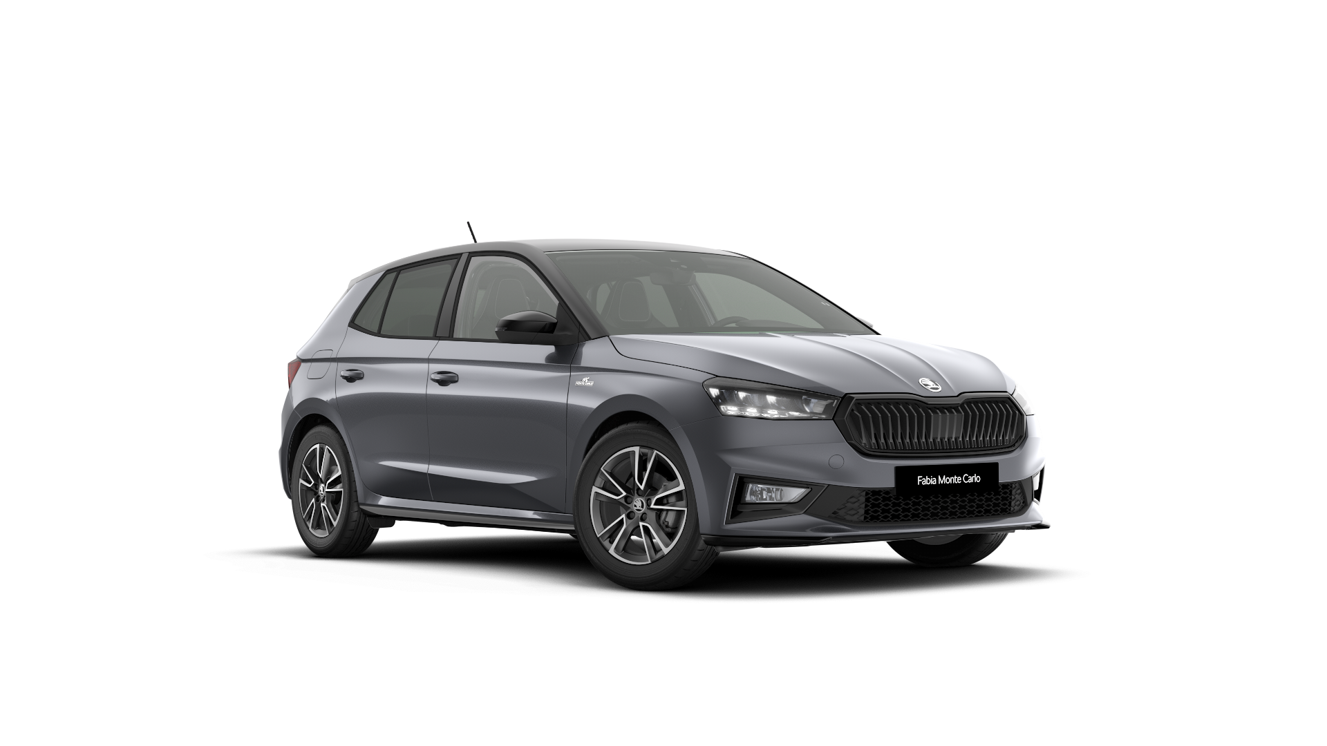 Slika modela Monte Carlo