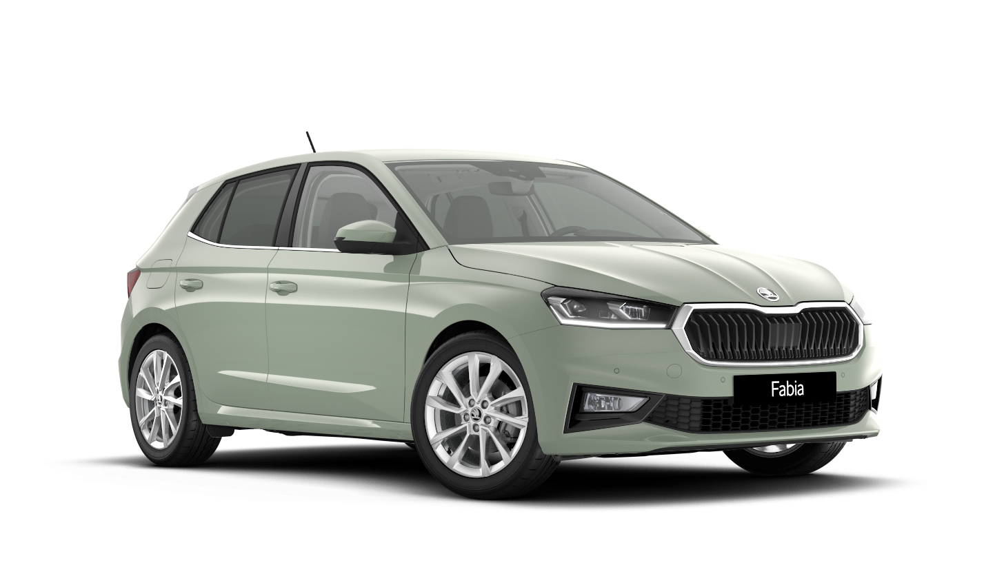 Model-Image Fabia