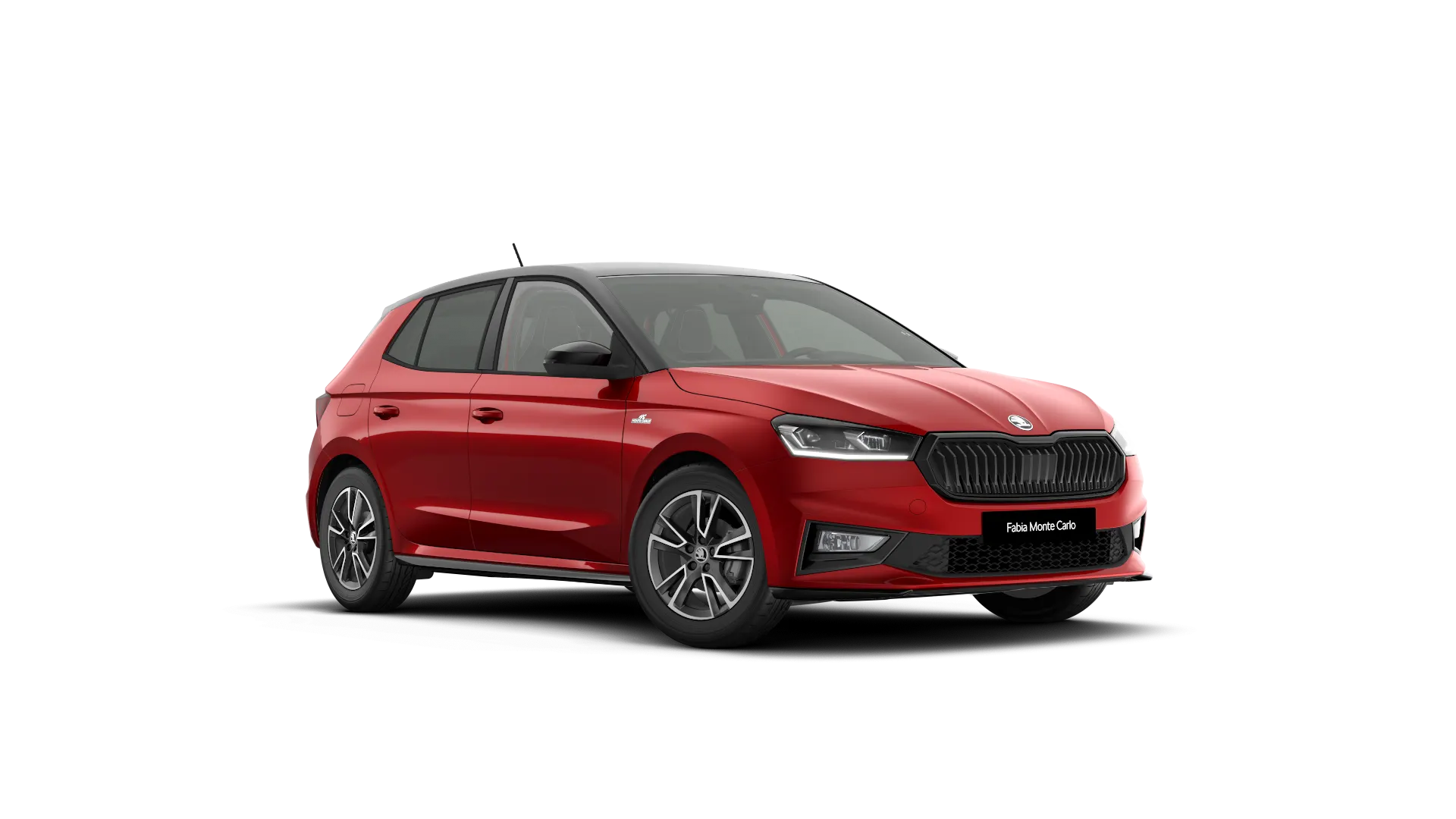 Model-Image Fabia Monte Carlo