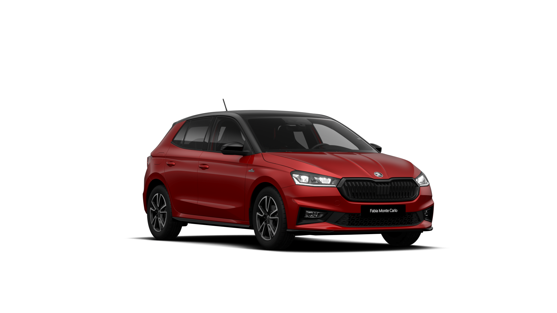 Model-Image Fabia Monte Carlo