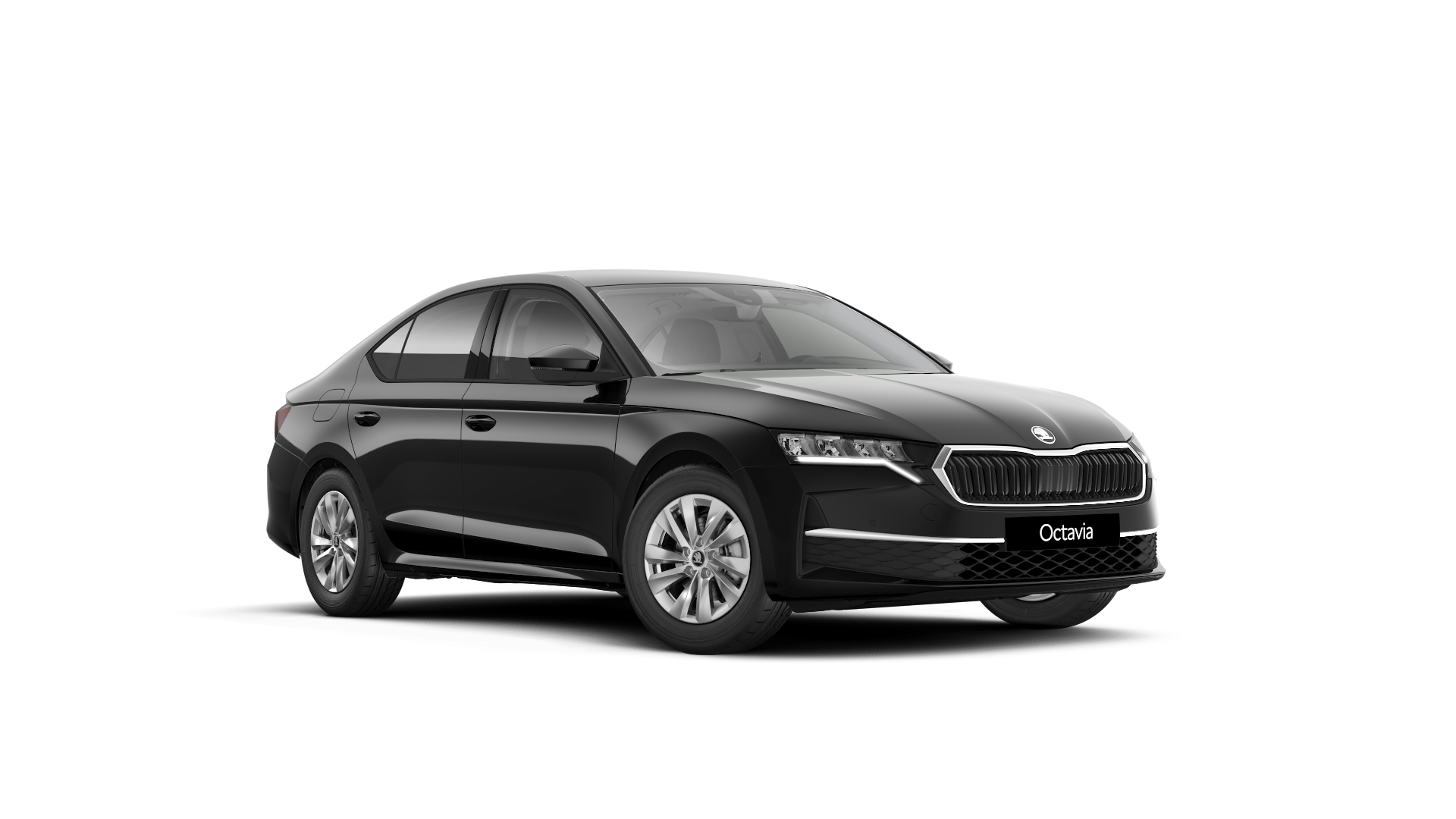 Modelo-Imagem Selection