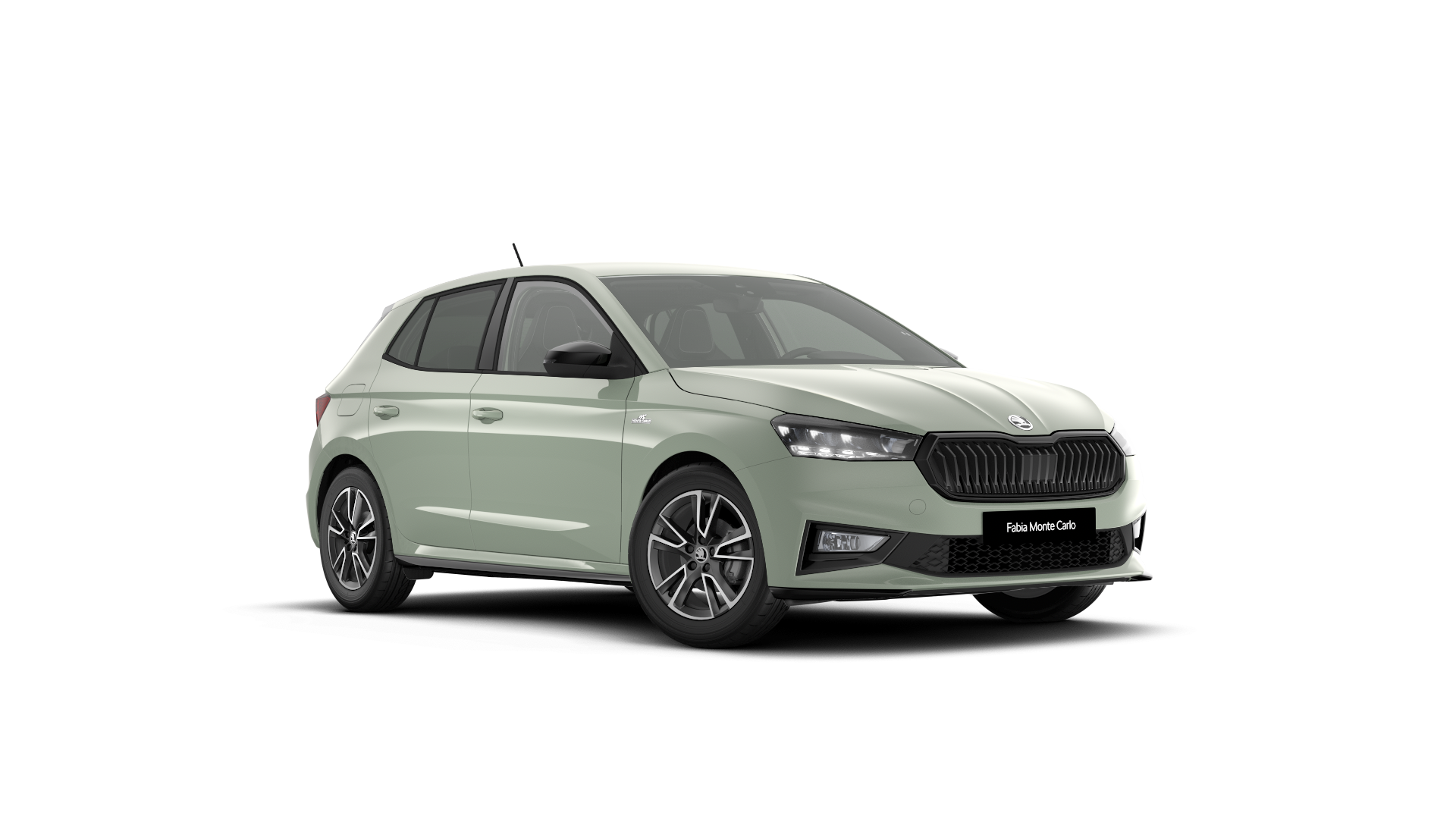 Slika modela Monte Carlo