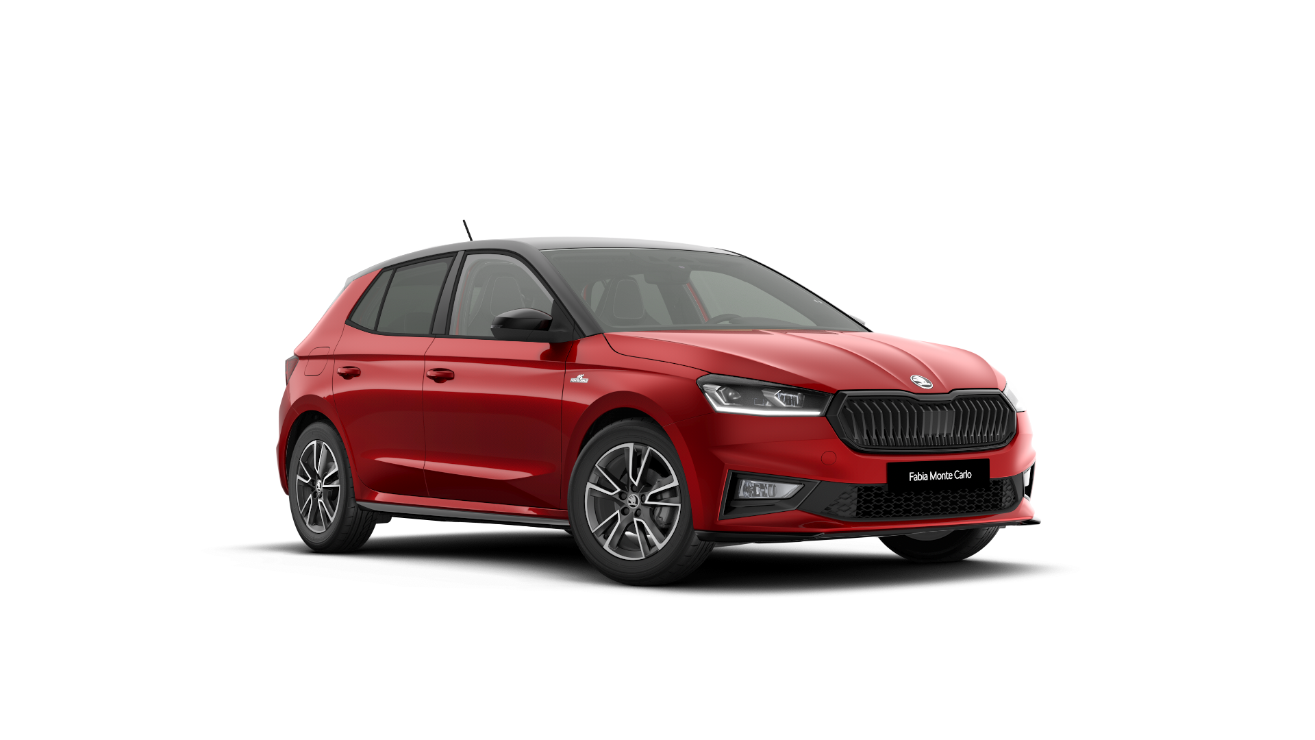 Model-Image Fabia Monte Carlo