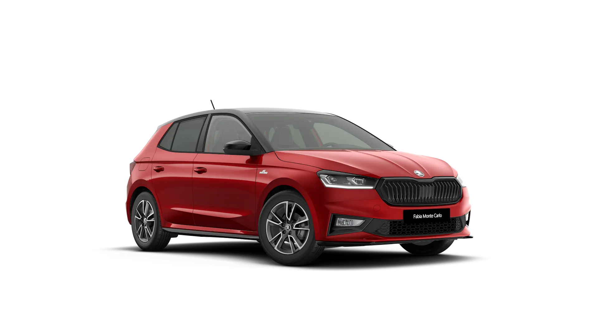 Model-Image Fabia