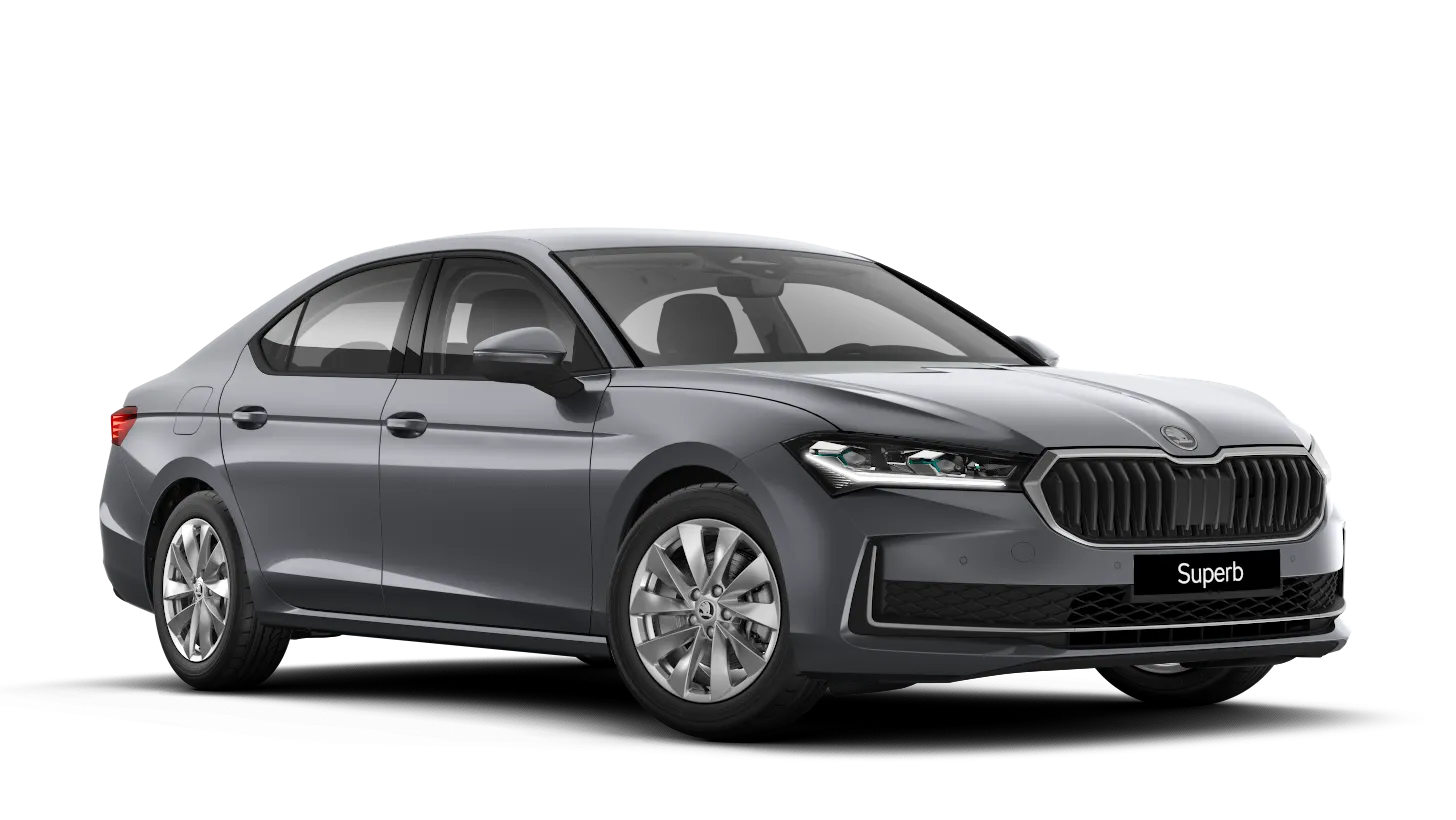 Model-Image SUPERB LIMO