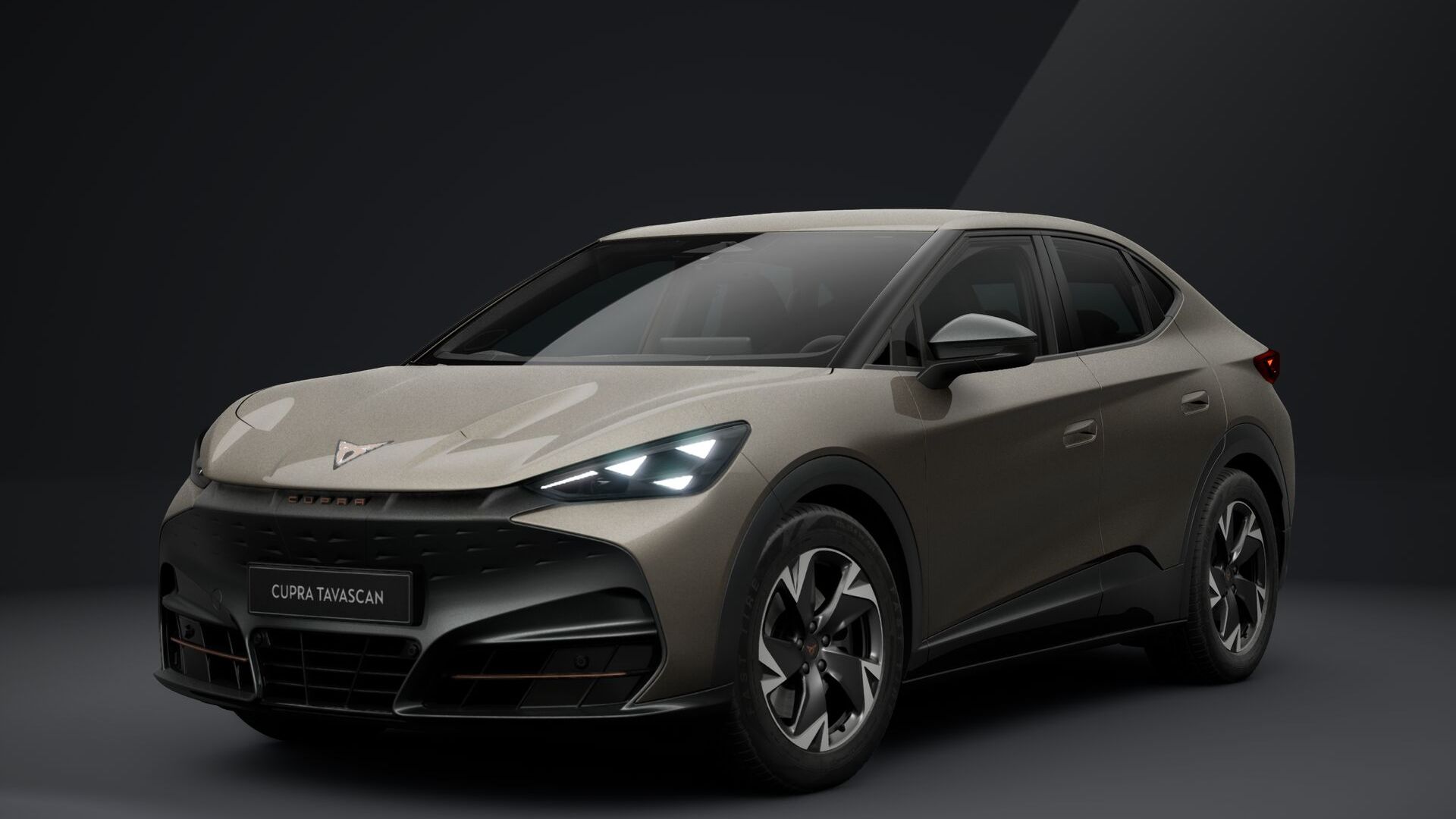 CUPRA Tavascan TAVASCAN
