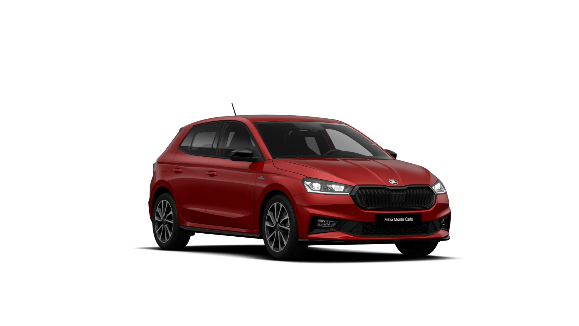 Model-Image Fabia Monte Carlo