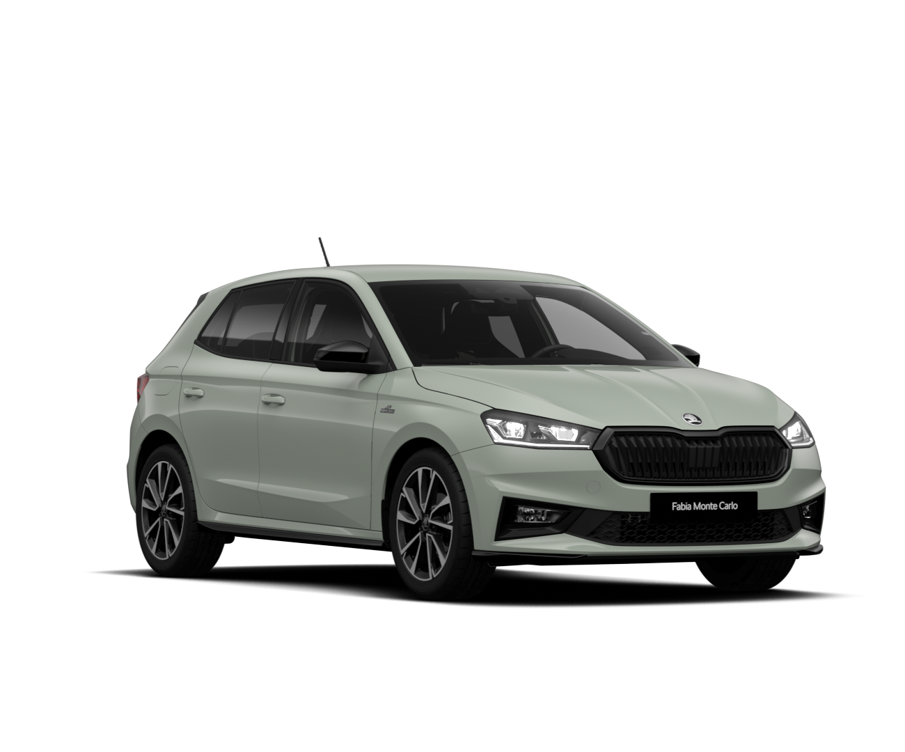 Slika modela Fabia