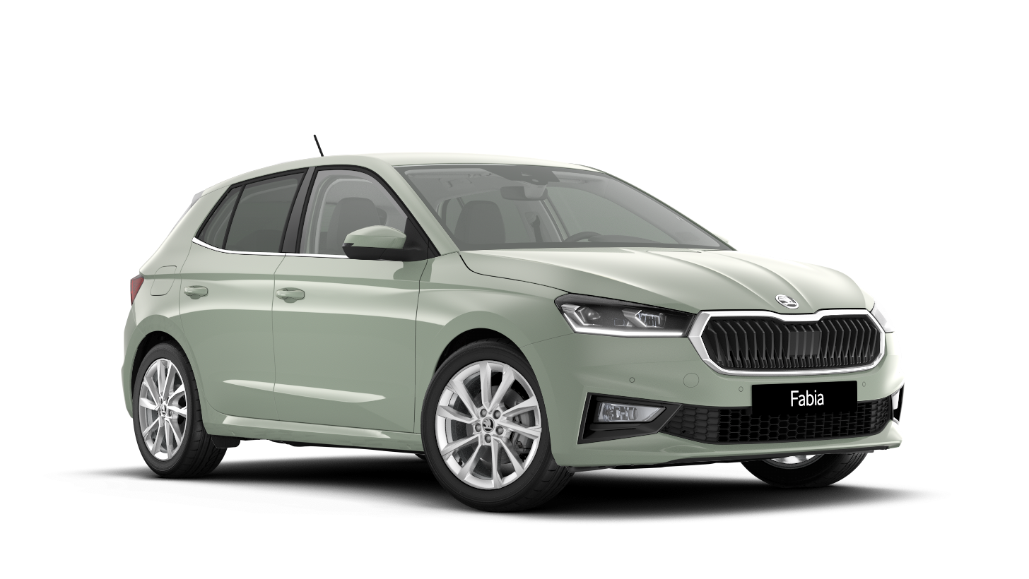 Model-Image Fabia