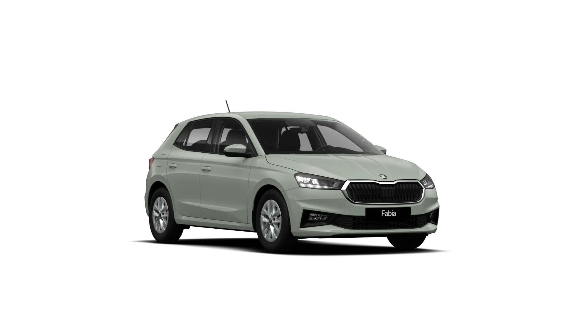 Model-Image Fabia Selection